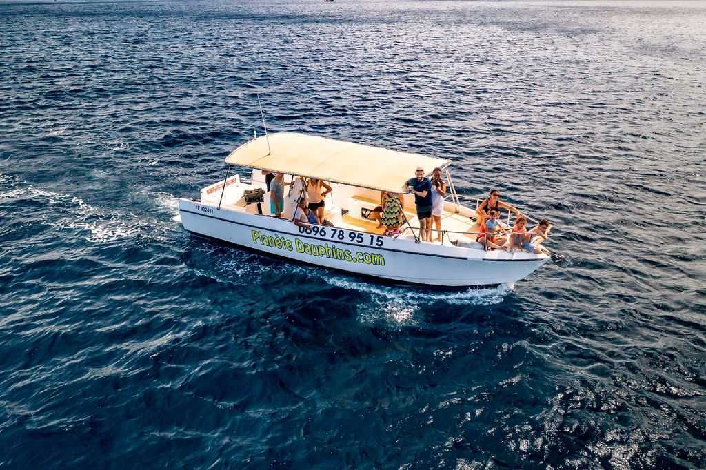 sortie-bateau-planete-dauphins